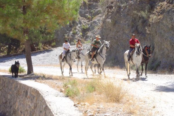 Cabanas Y Bungalows La Falaguera Bárig Εξωτερικό φωτογραφία